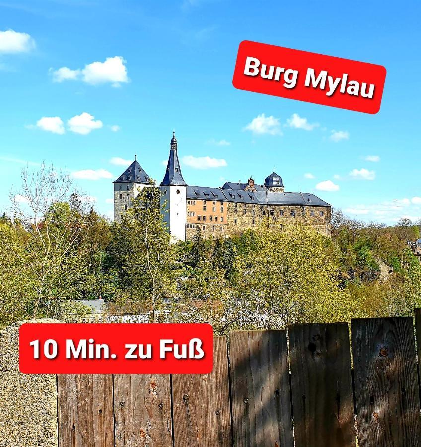 Ferienwohnung "Blick Mylau" - Naehe Freizeitpark Plohn & Weltgroesster Ziegelsteinbruecke Райхенбах-ім-Фогтланд Екстер'єр фото