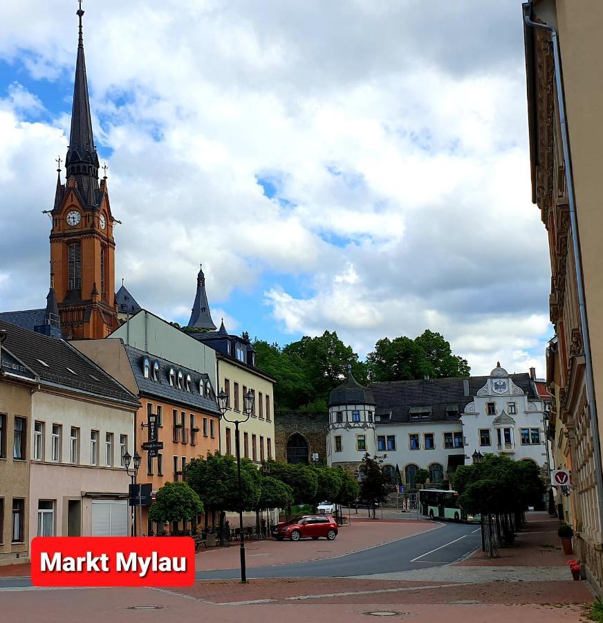 Ferienwohnung "Blick Mylau" - Naehe Freizeitpark Plohn & Weltgroesster Ziegelsteinbruecke Райхенбах-ім-Фогтланд Екстер'єр фото