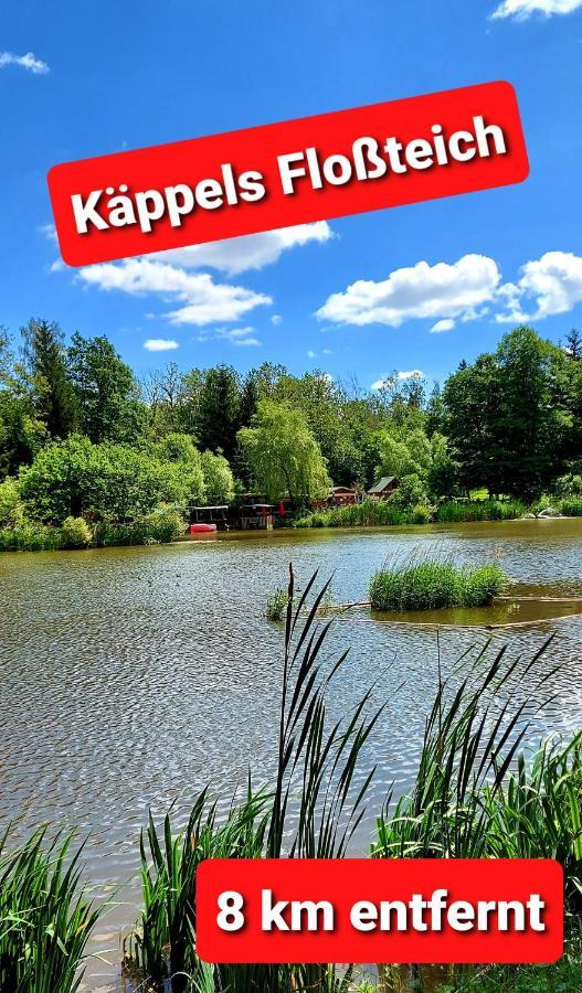 Ferienwohnung "Blick Mylau" - Naehe Freizeitpark Plohn & Weltgroesster Ziegelsteinbruecke Райхенбах-ім-Фогтланд Екстер'єр фото