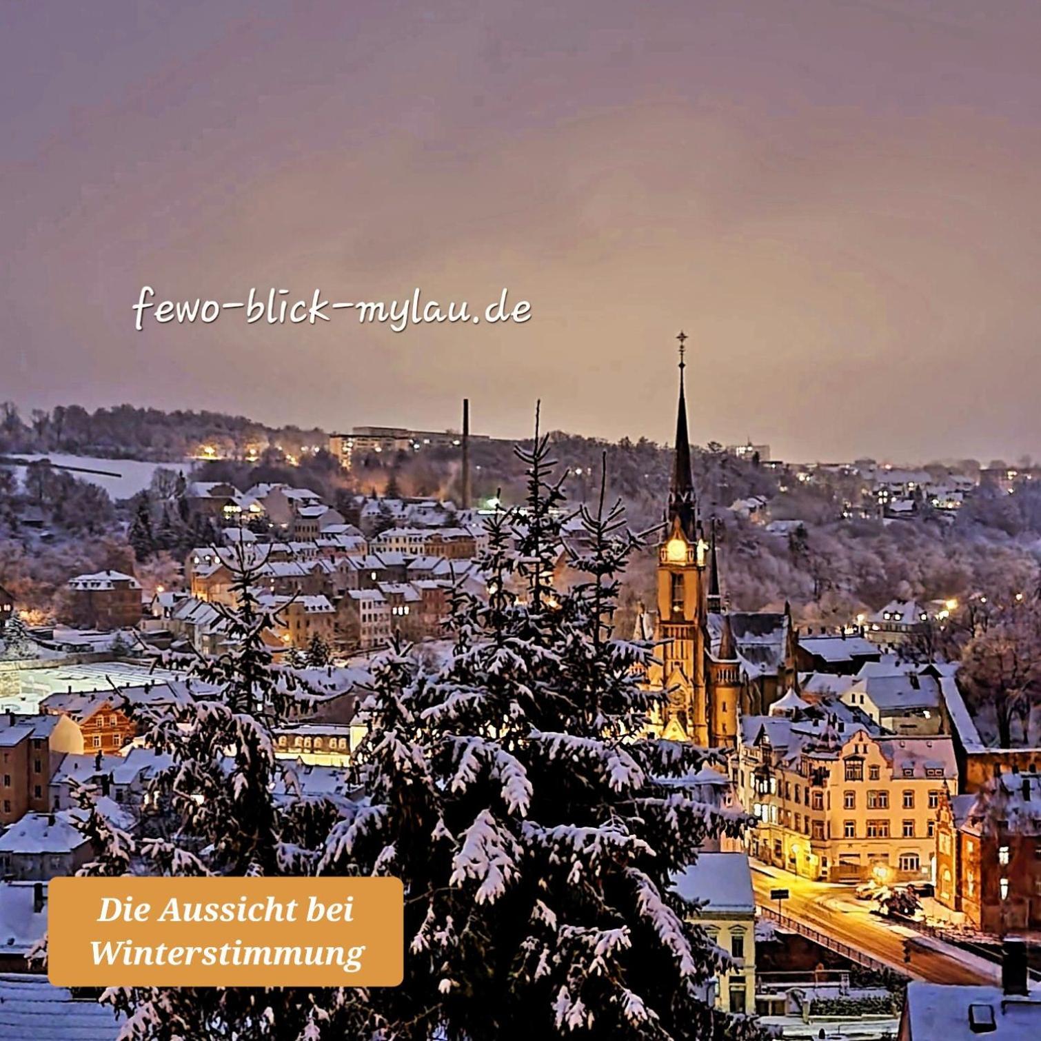 Ferienwohnung "Blick Mylau" - Naehe Freizeitpark Plohn & Weltgroesster Ziegelsteinbruecke Райхенбах-ім-Фогтланд Екстер'єр фото