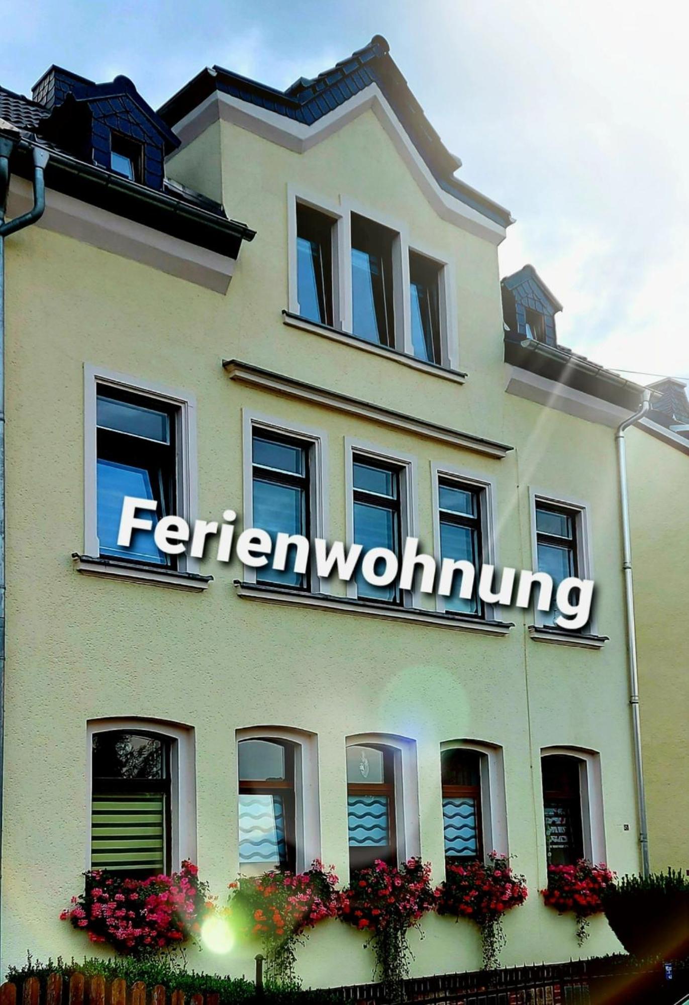 Ferienwohnung "Blick Mylau" - Naehe Freizeitpark Plohn & Weltgroesster Ziegelsteinbruecke Райхенбах-ім-Фогтланд Екстер'єр фото